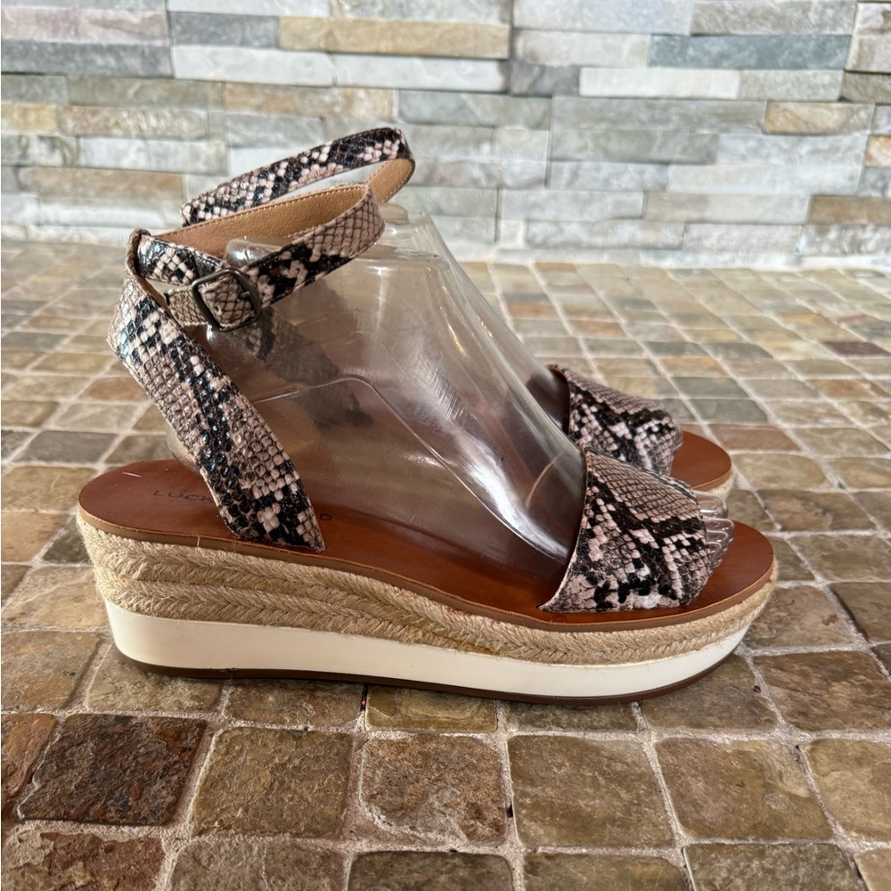 Lucky brand Stylish Snake Print Wedge Sandals *please read